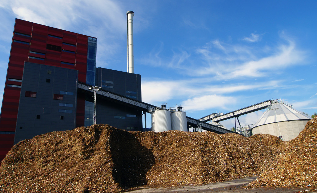 Aboitiz Power ventures into biomass technology