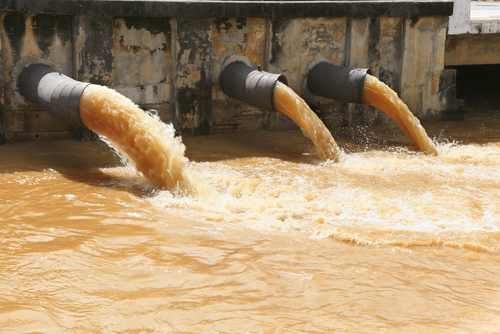 WASTEWATER GAGAWING ENERGY? Absolut eyes waste-to-energy development with MVP group
