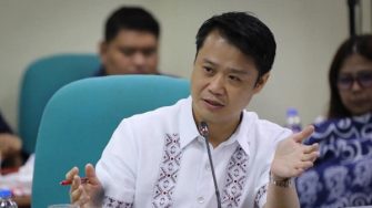 Davao not working with Japanese firm in energy project, says Gatchalian