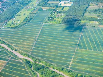 Metro Pacific, German firm building biogas plants for pineapple waste