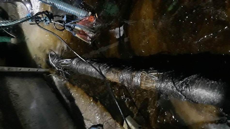 ngcp damaged negros-cebu cable