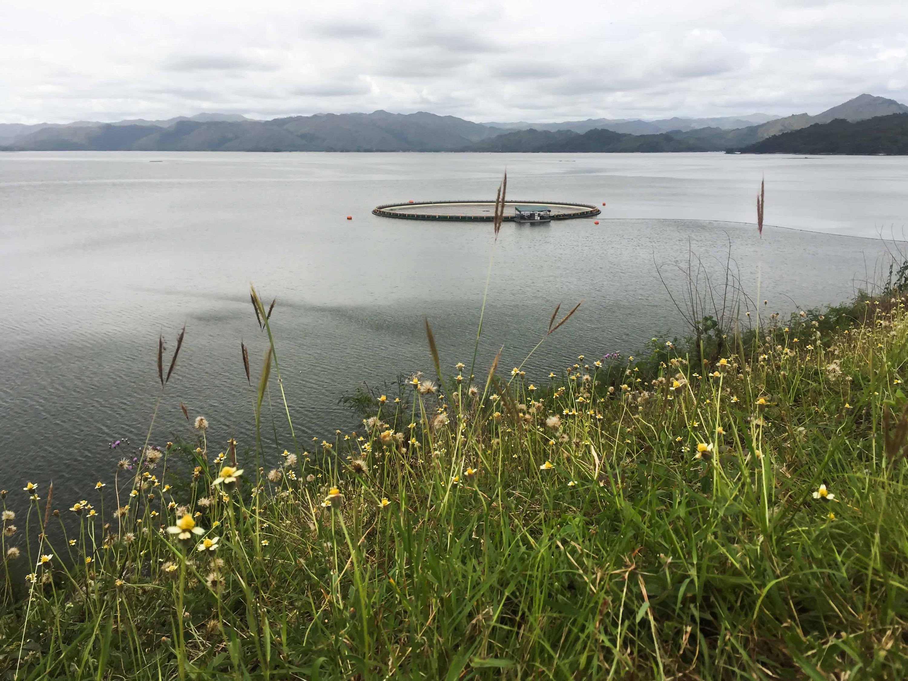 Aboitiz to focus on Magat, Ambuklao, Binga for floating solar projects