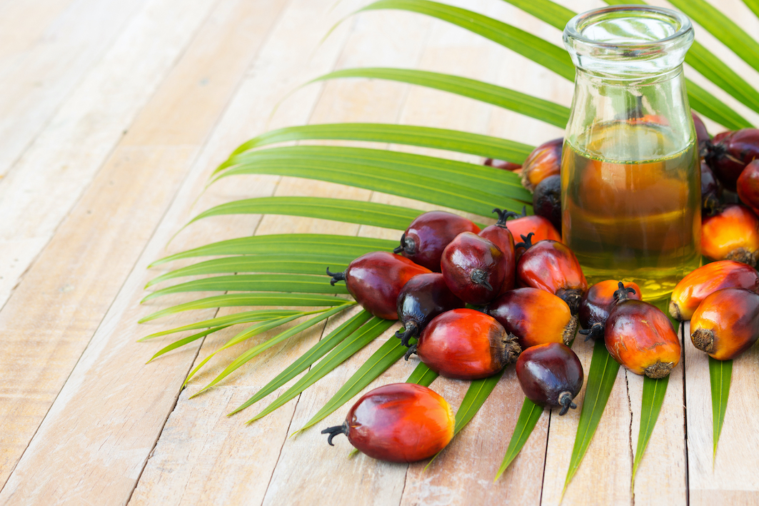 DOE wants thorough study of palm oil as biodiesel