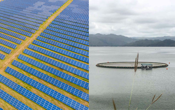 EPC bidding for Aboitiz Pangasinan solar project being finalized