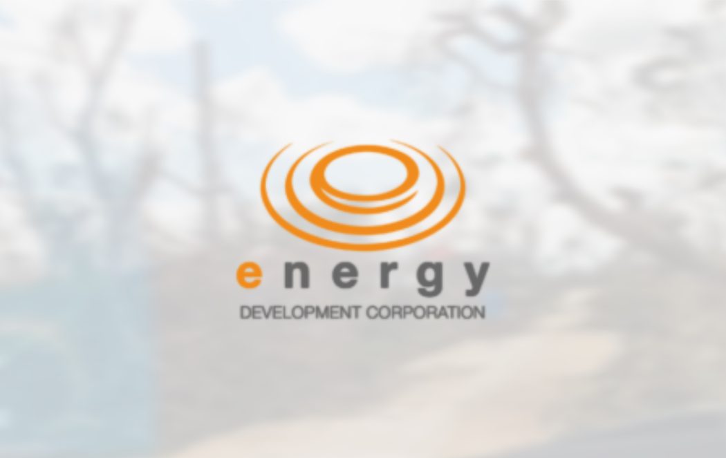 EDC to open power plant in Bohol by 2024 – power distributors | Power ...