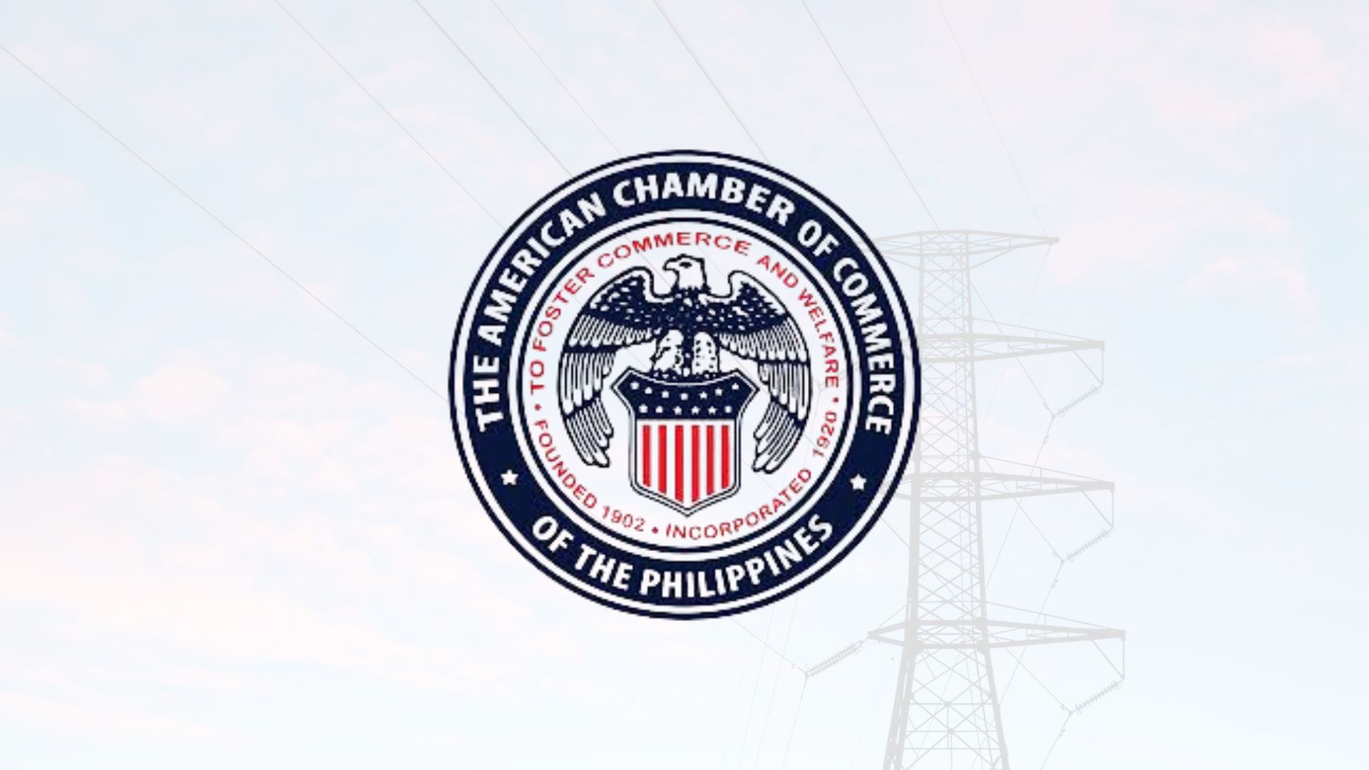 AmCham expressed support on EPIRA amendments