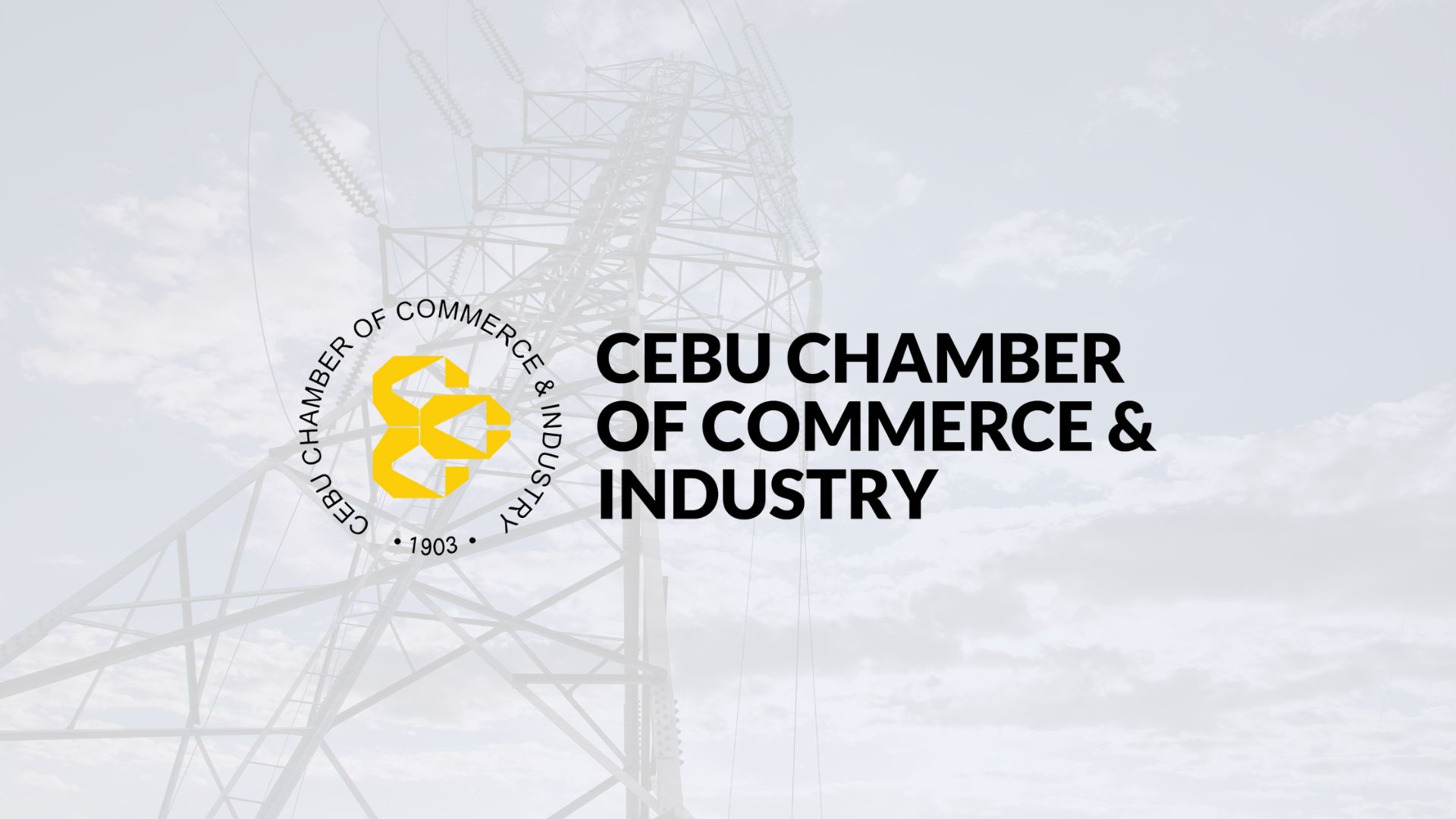 Cebu group unveils initiative to tackle power demand challenges