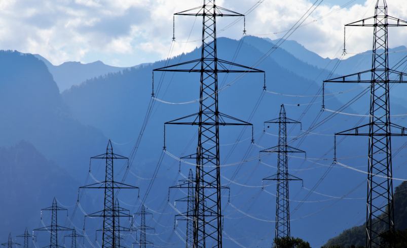 Higher supply, stable demand push market prices down in May 2025 — IEMOP