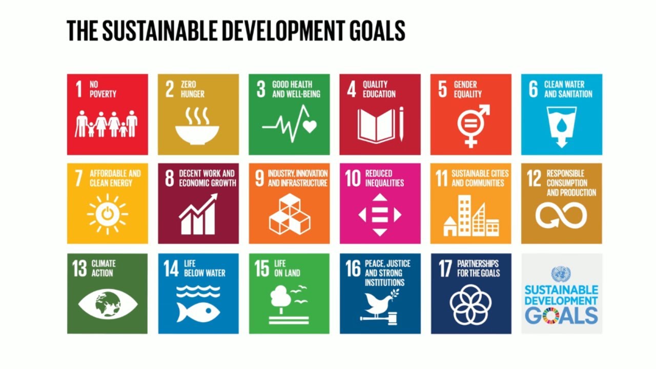 PH universities shine in global sustainability rankings 