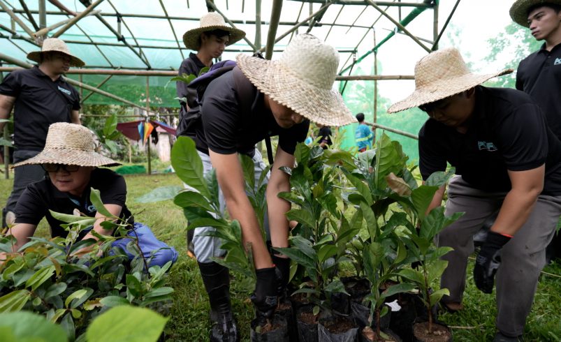 Ahunan Plants 2,500 Saplings in Laguna, Builds Path to 200,000-Seedling Nursery