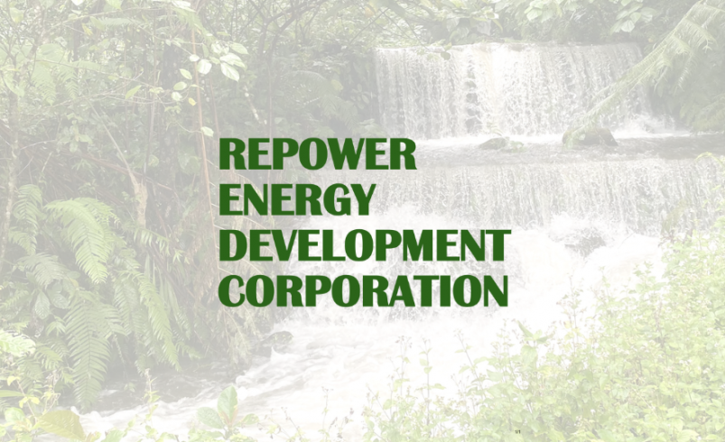REDC H1 profit soars 58% on strong hydro output