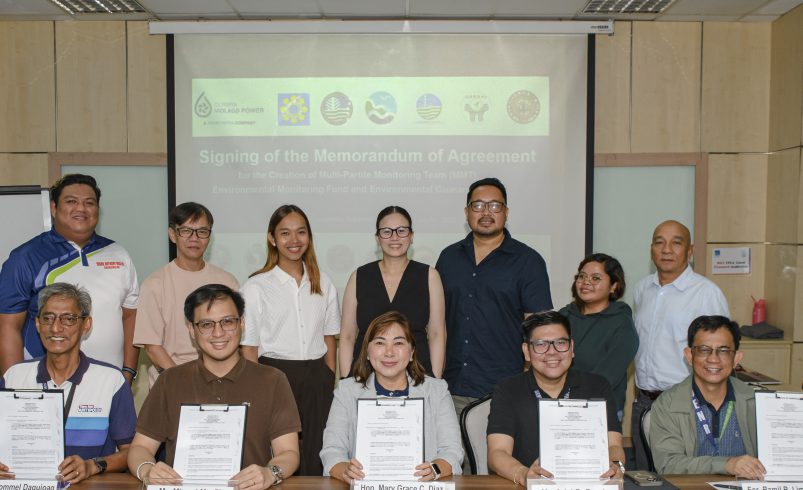 DOE Backs 600 MW Wawa Pumped Hydro as Key to RE Transition, Local Development