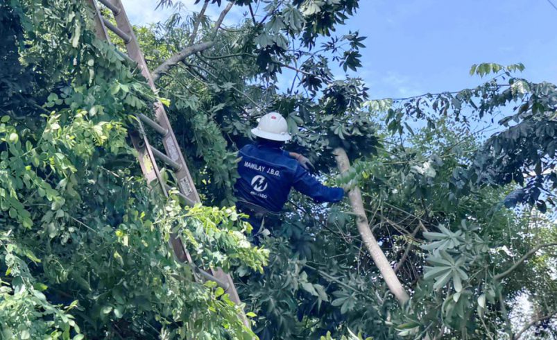 Meralco trims trees in Talim Island to boost power reliability