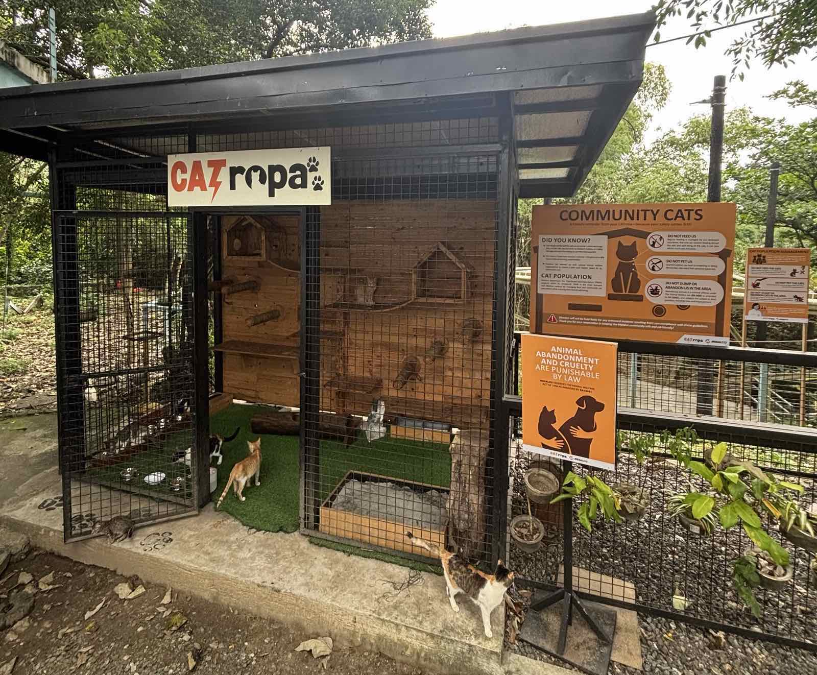 Beyond power lines: inside Meralco’s push for humane animal population control