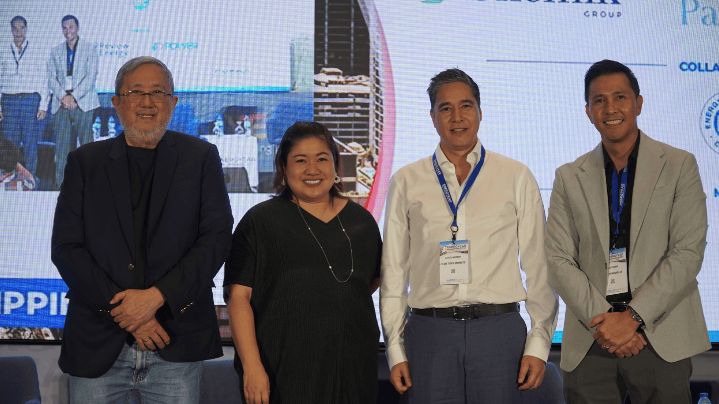 Experts flag inefficiencies and pricing risks in Philippine renewable PPAs