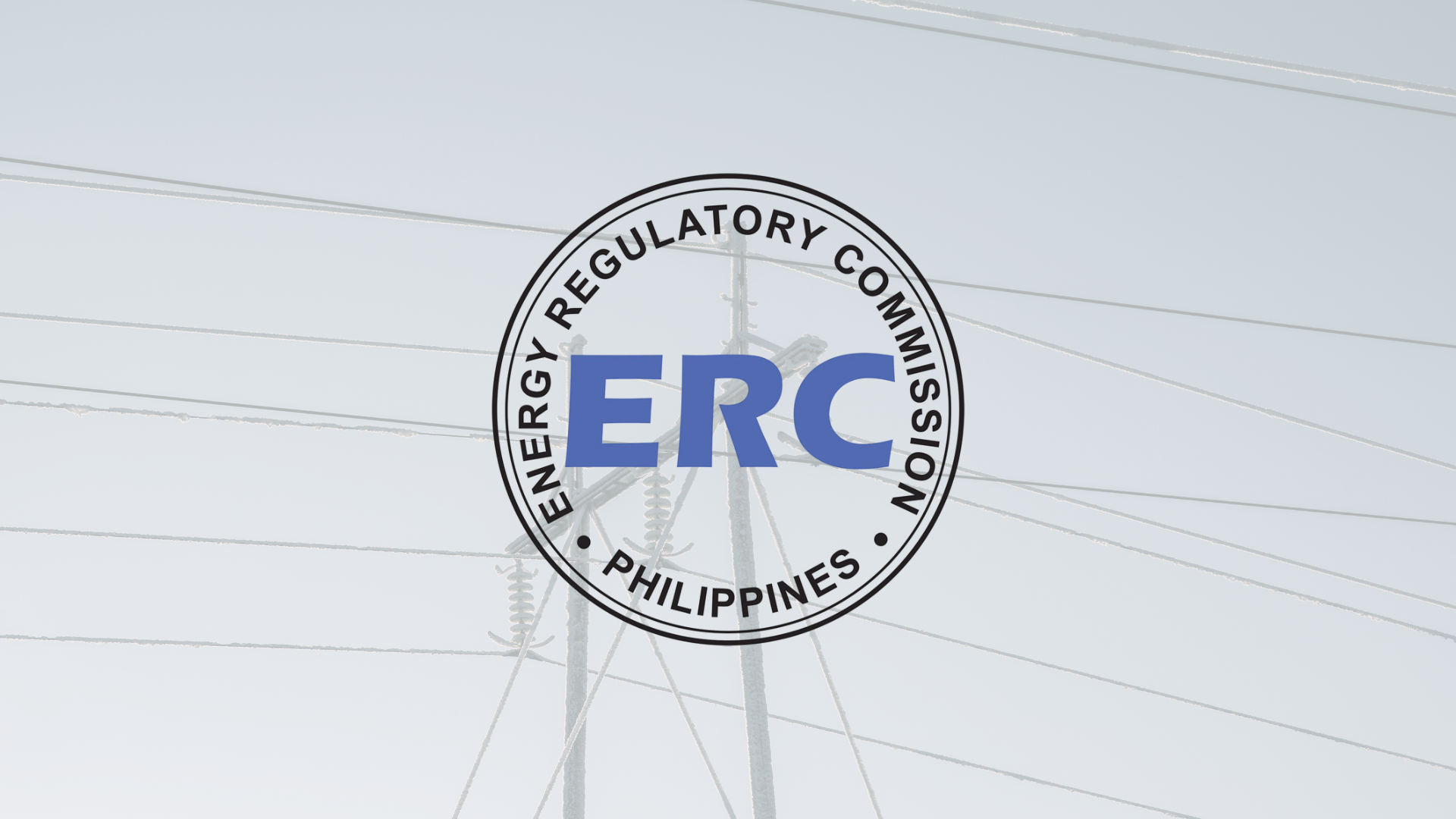 ERC suspends power spot market, imposes interim pricing amid energy emergency