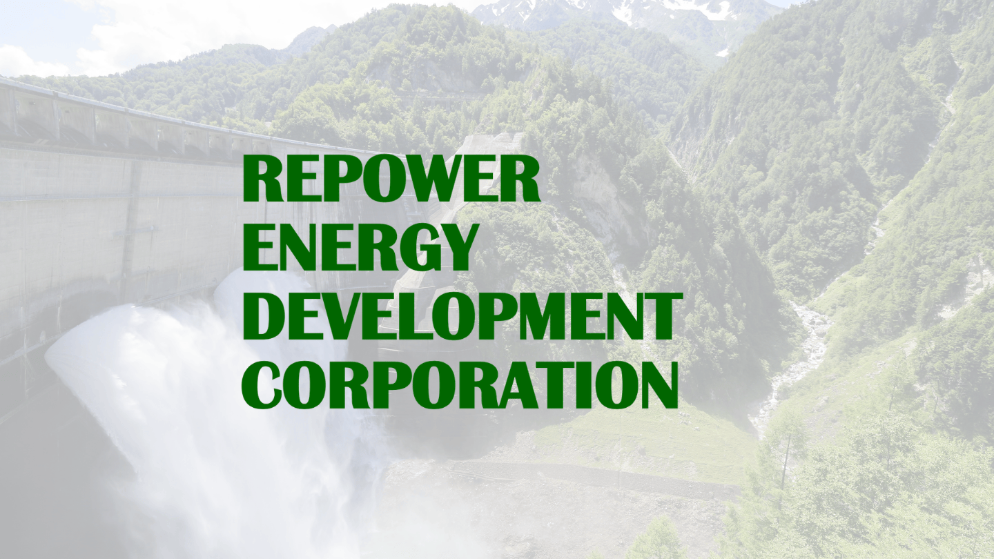 REDC sets up hydropower subsidiary 