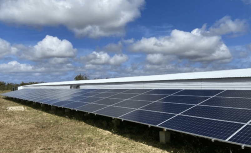DOST solar program helps Pangasinan MSMEs cut power costs by up to 90%